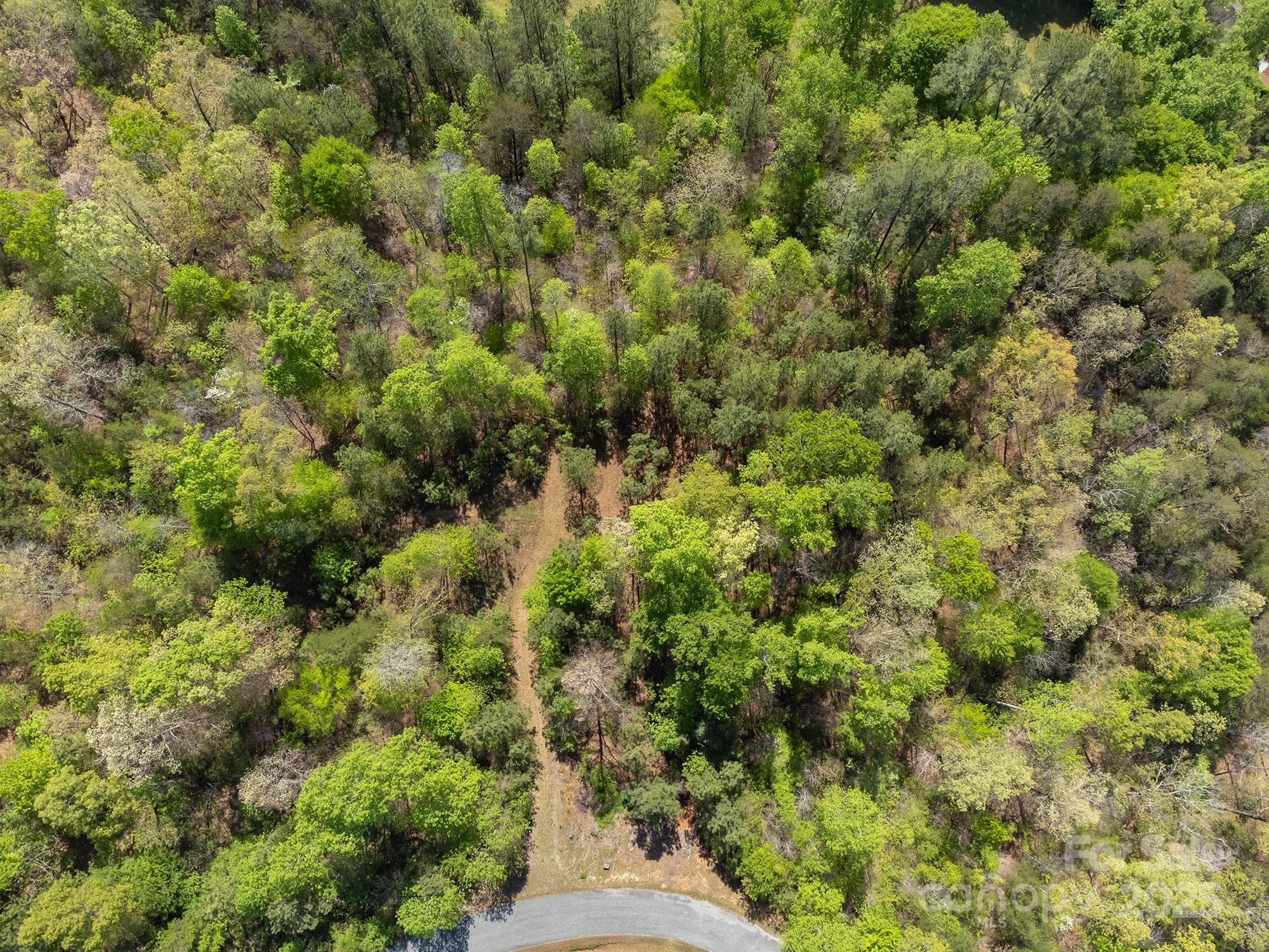 Lot at V/L Easy Street, Lake Lure, photo 17 of 34