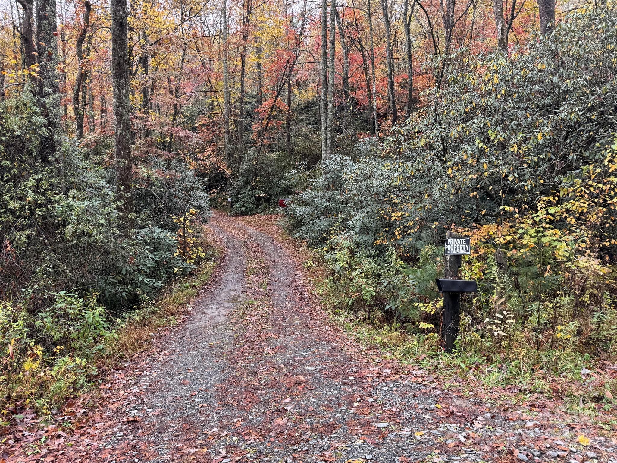 Entrance from King Road - 00 King Road, Pisgah Forest