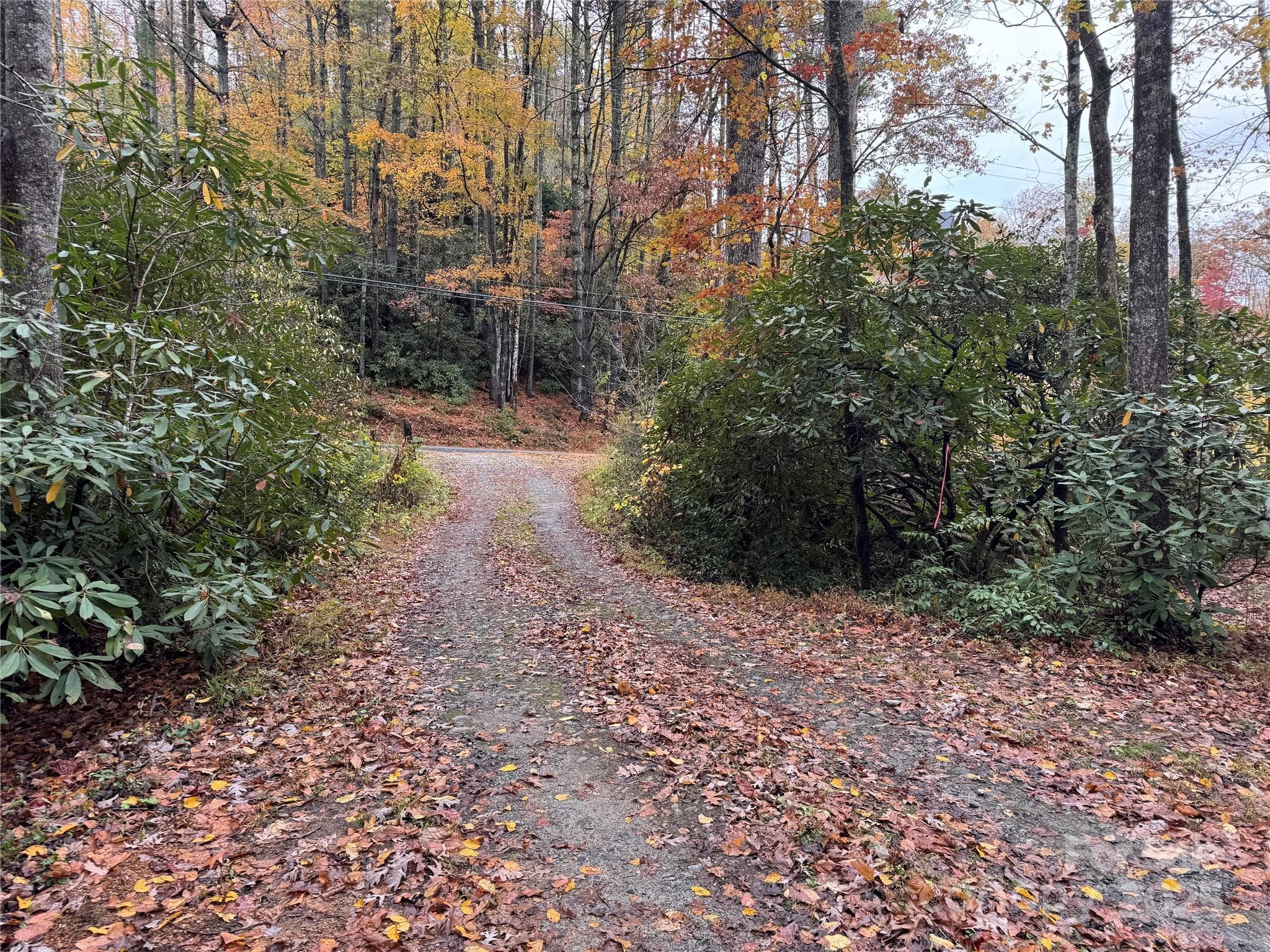View back towards King Road - 00 King Road, Pisgah Forest