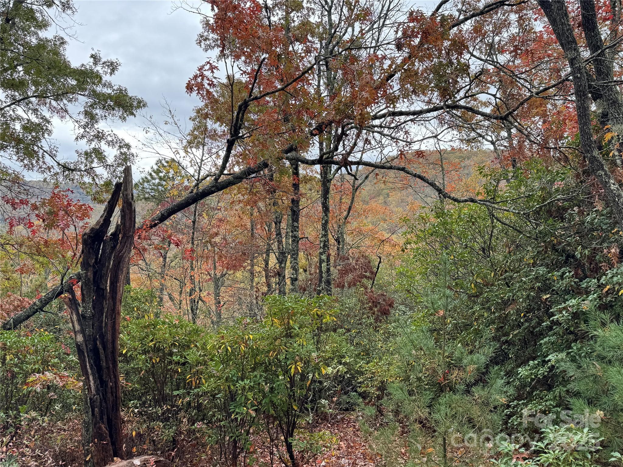 View from the top - 00 King Road, Pisgah Forest
