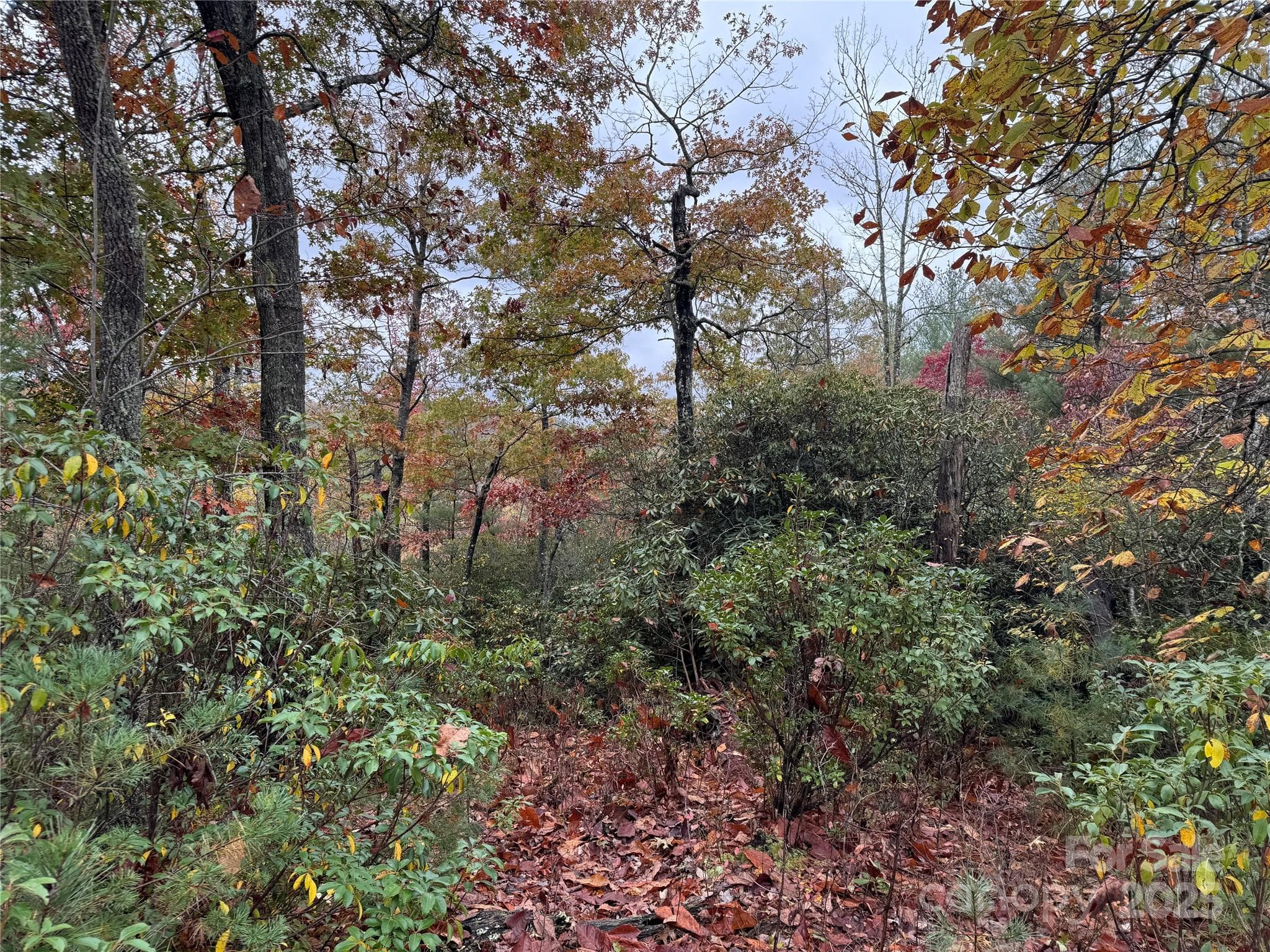 Top view - 00 King Road, Pisgah Forest