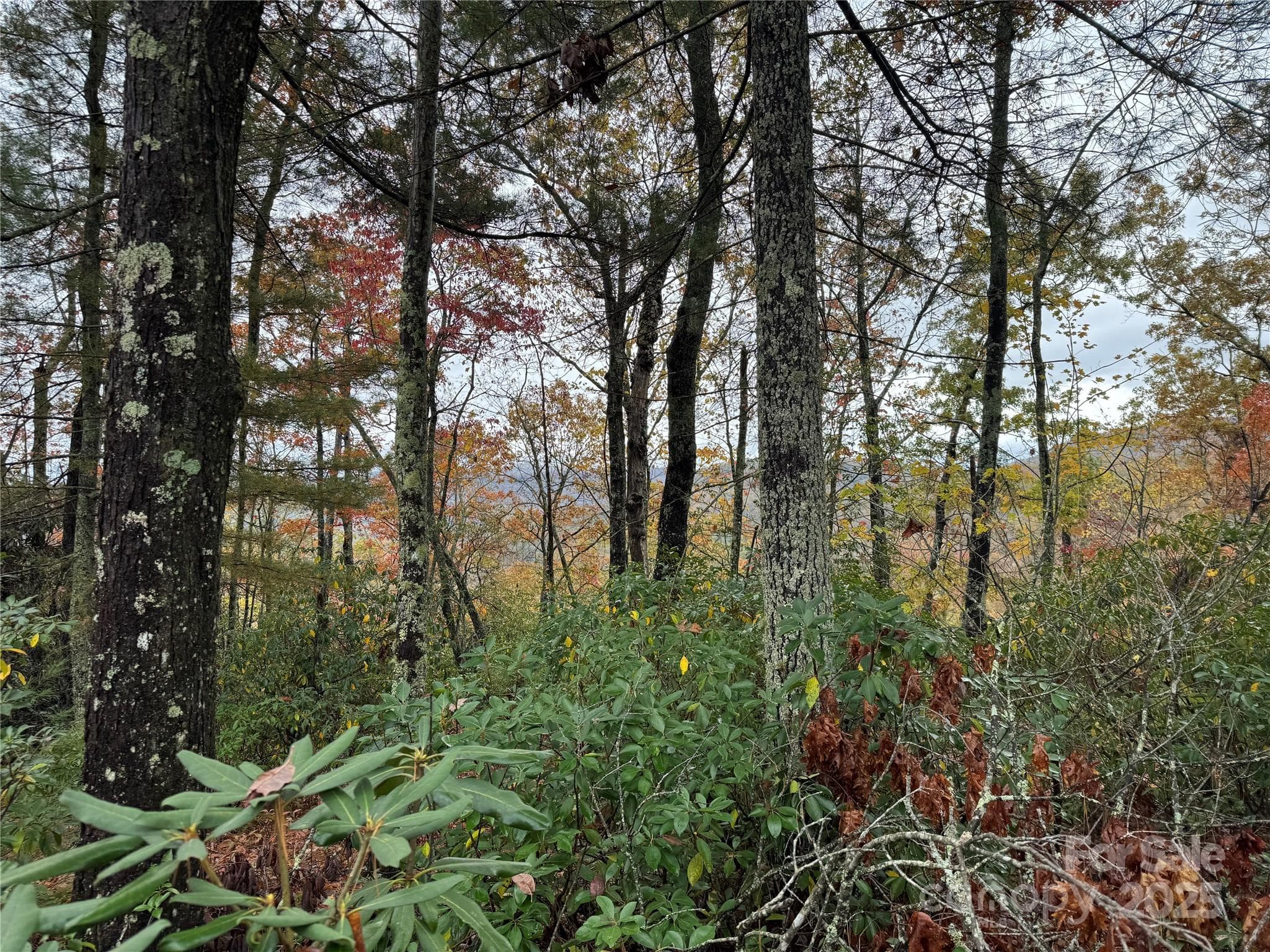 Top View - 00 King Road, Pisgah Forest