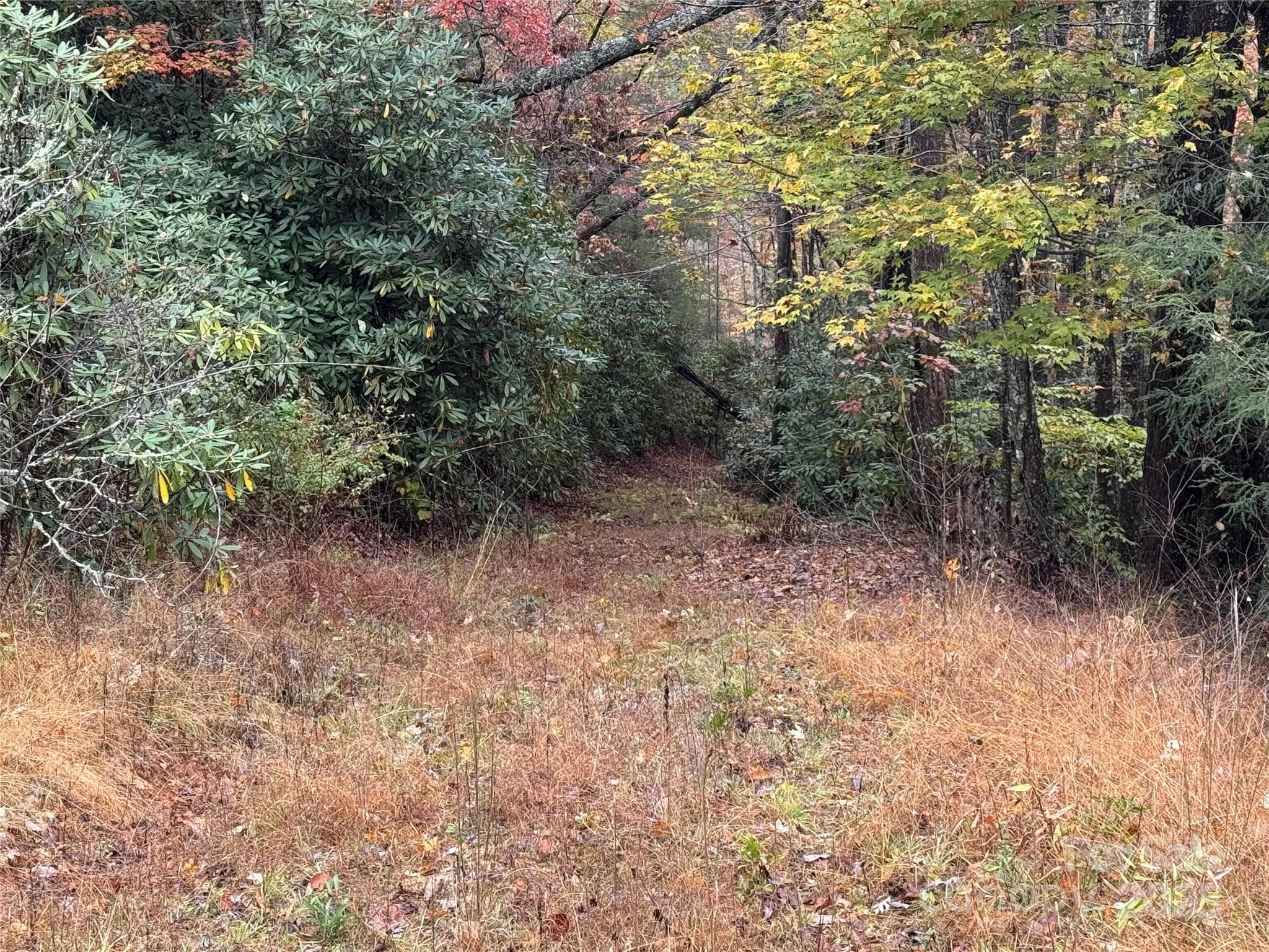 View back down - 00 King Road, Pisgah Forest