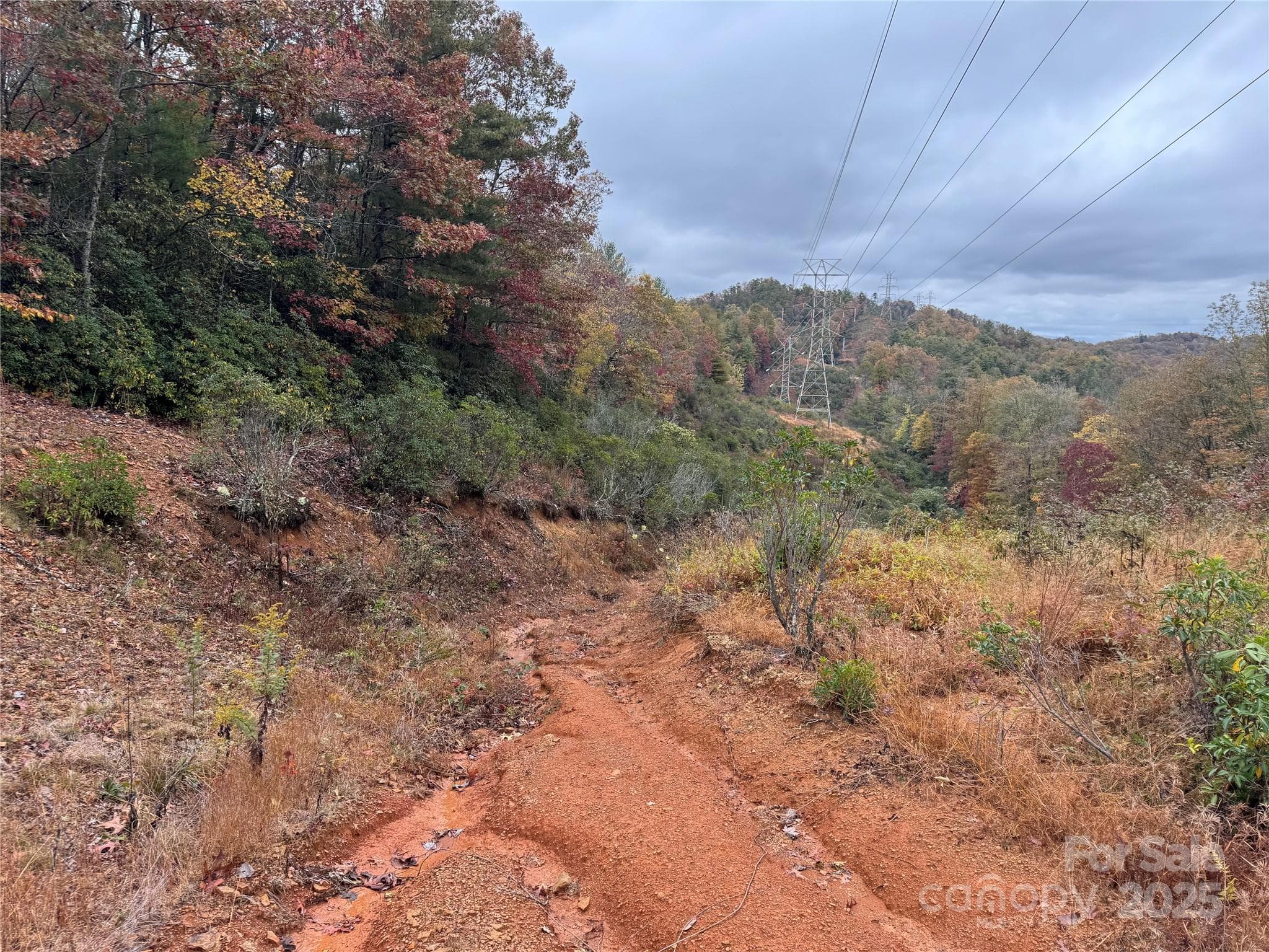 View where power lines cross the property - 00 King Road, Pisgah Forest