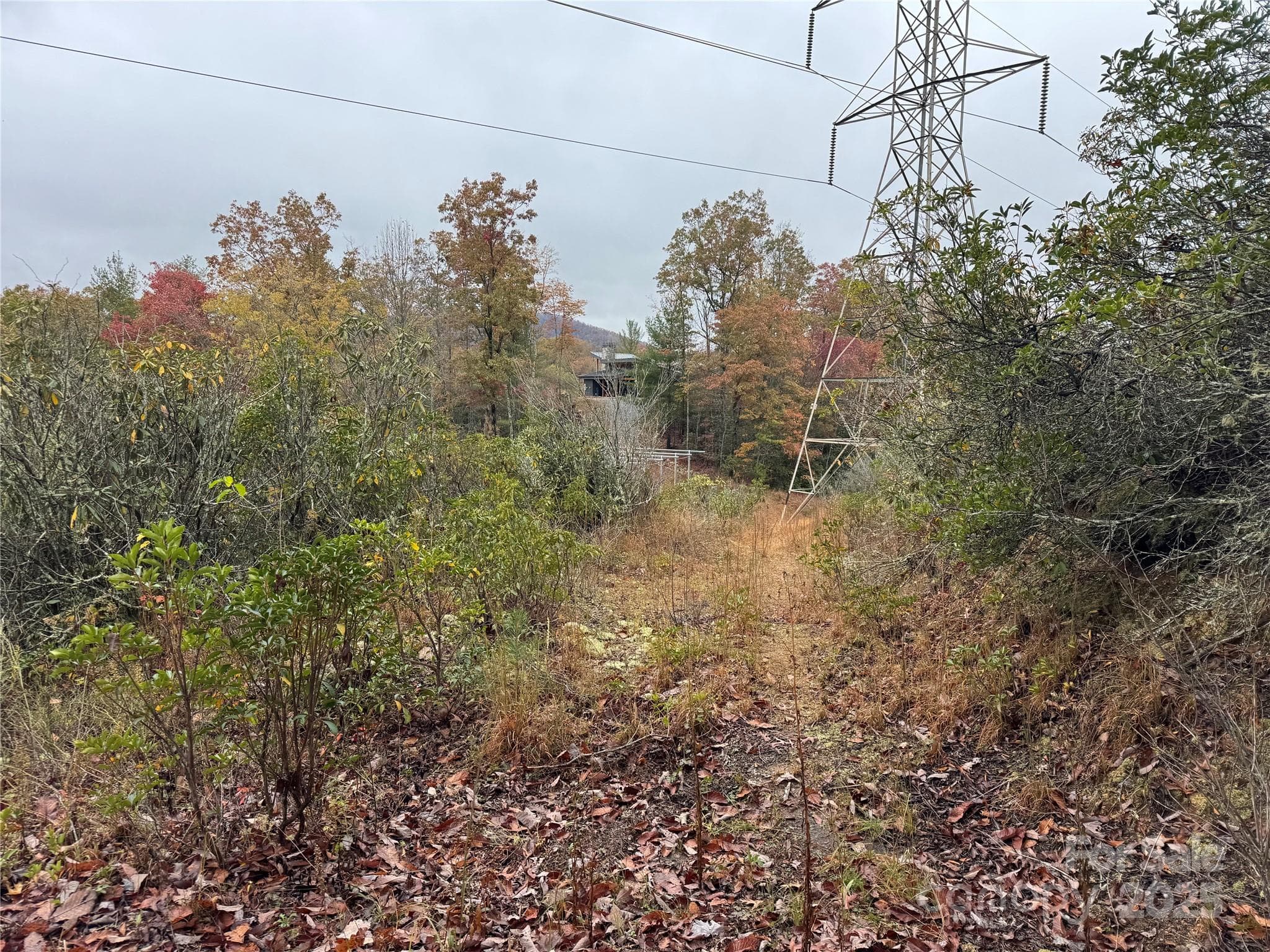 Road bed coming down from the top towards power lines - 00 King Road, Pisgah Forest