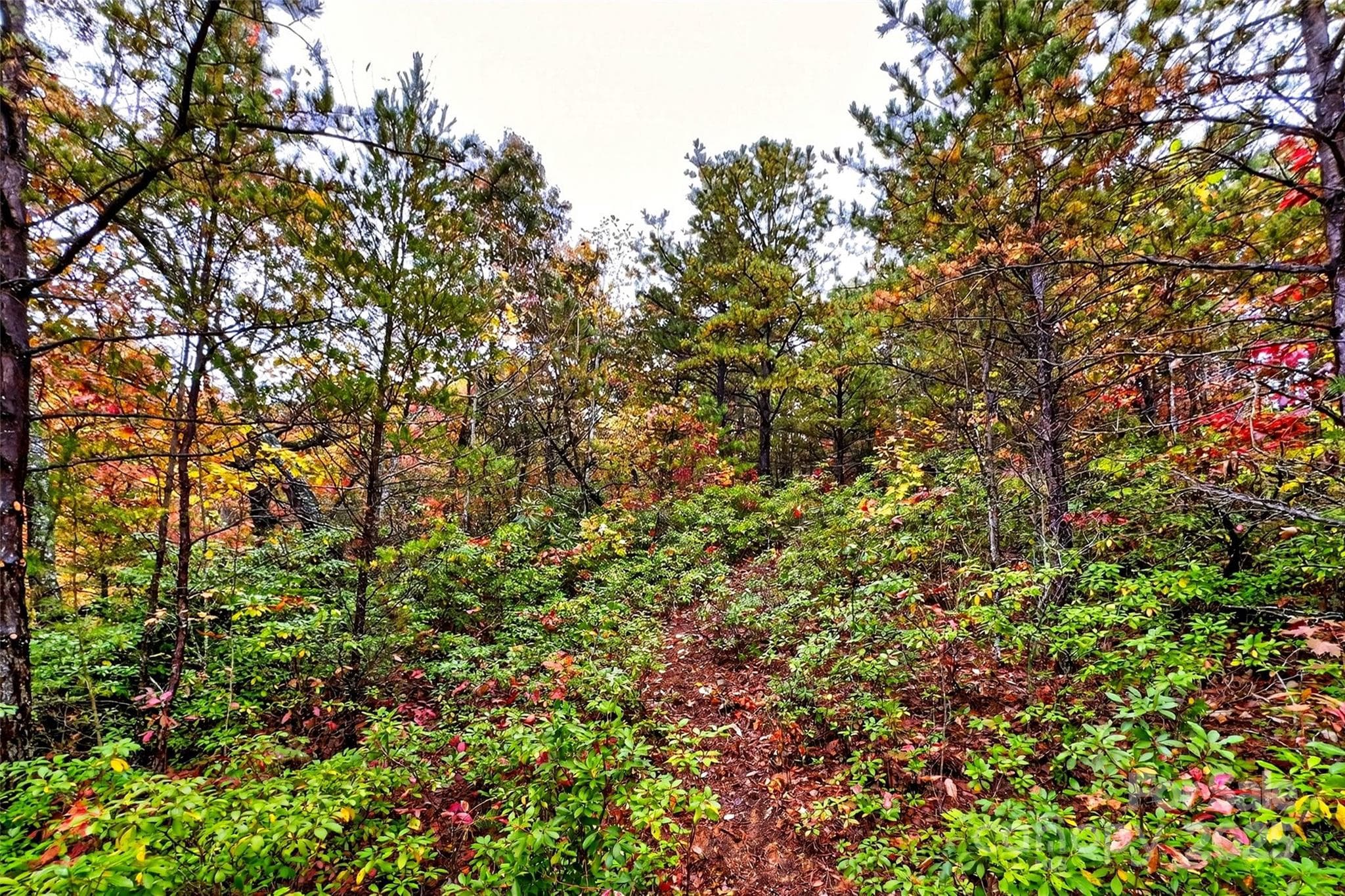 Lot at Old Fort, photo 40 of 48