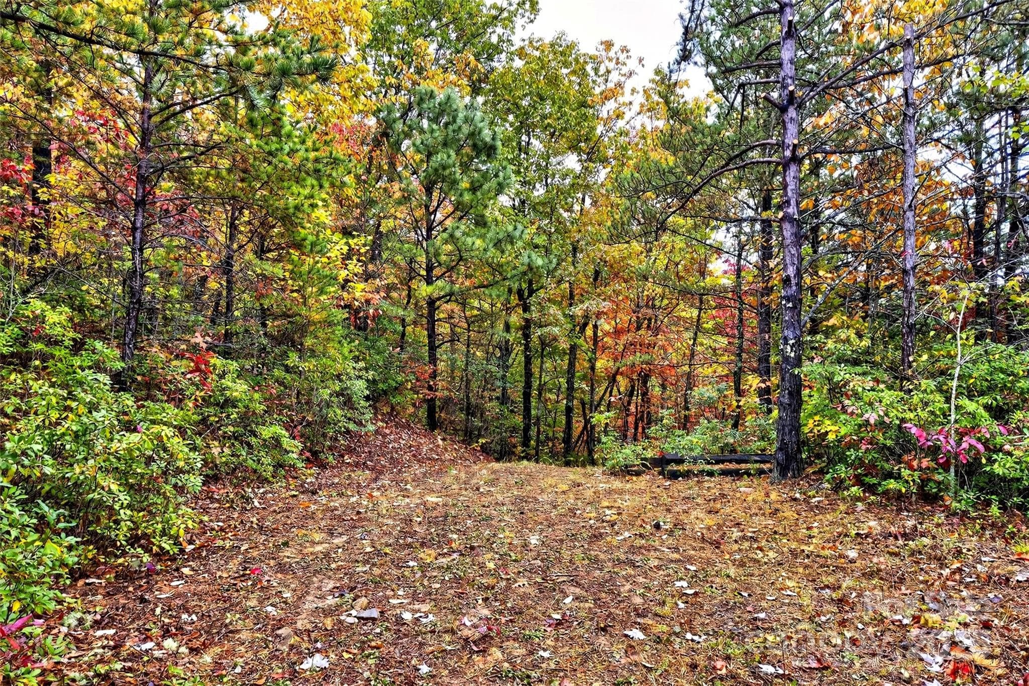 Lot at Old Fort, photo 44 of 48
