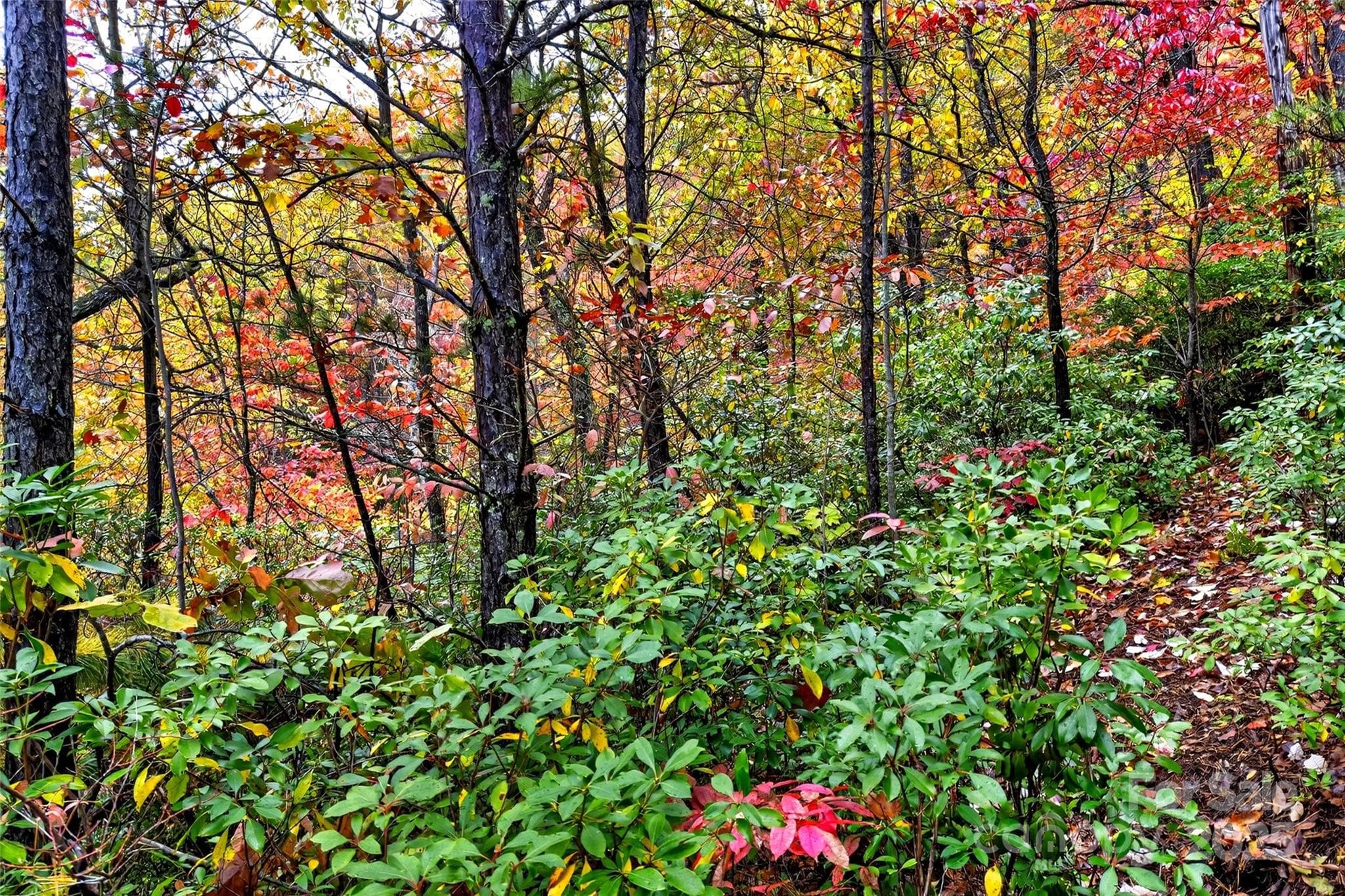 Lot at Old Fort, photo 46 of 48