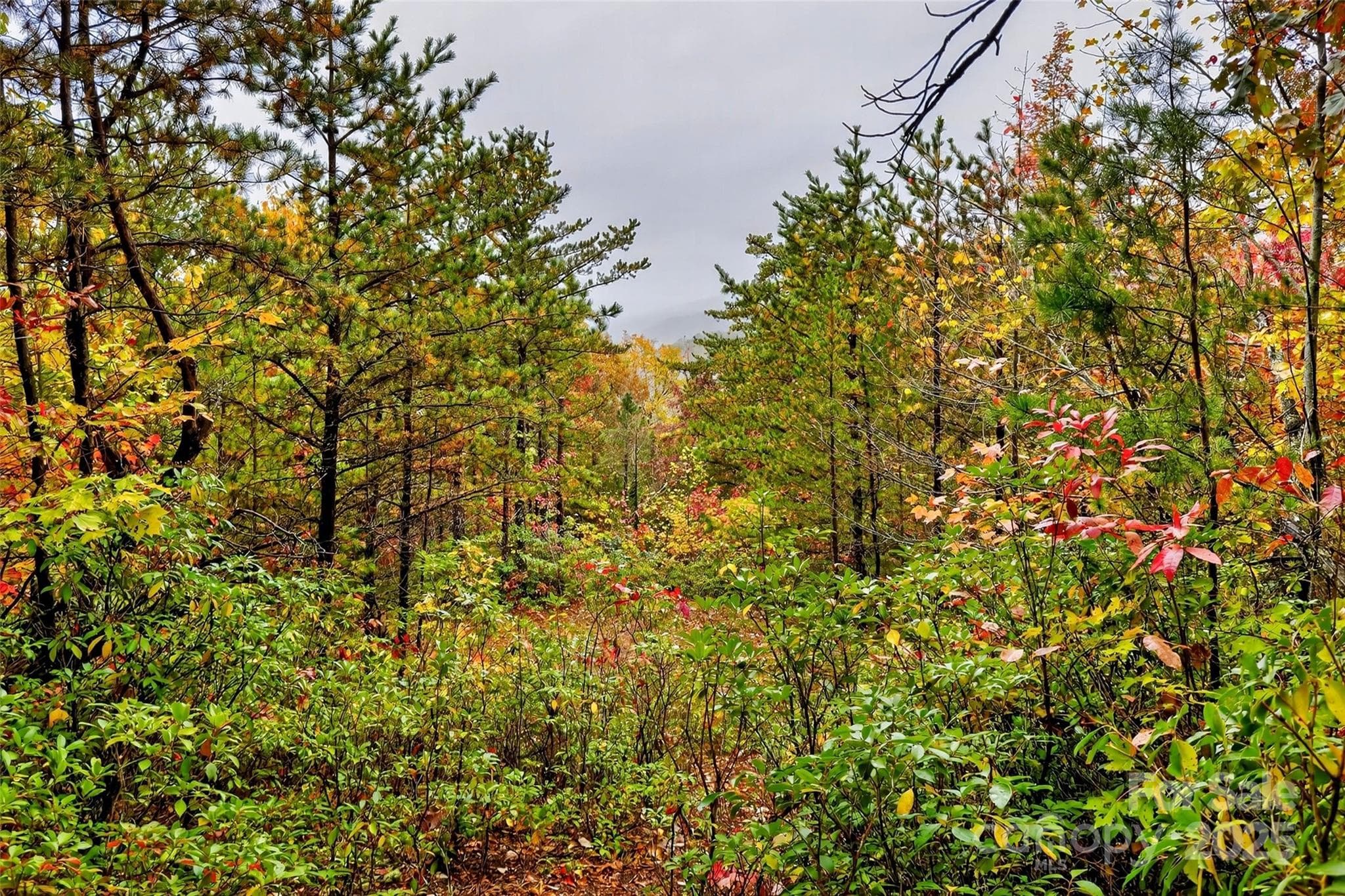 Lot at Old Fort, photo 47 of 48