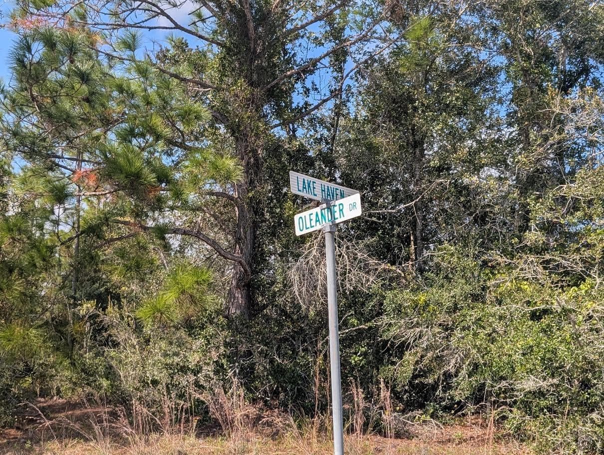 OLEANDER DR