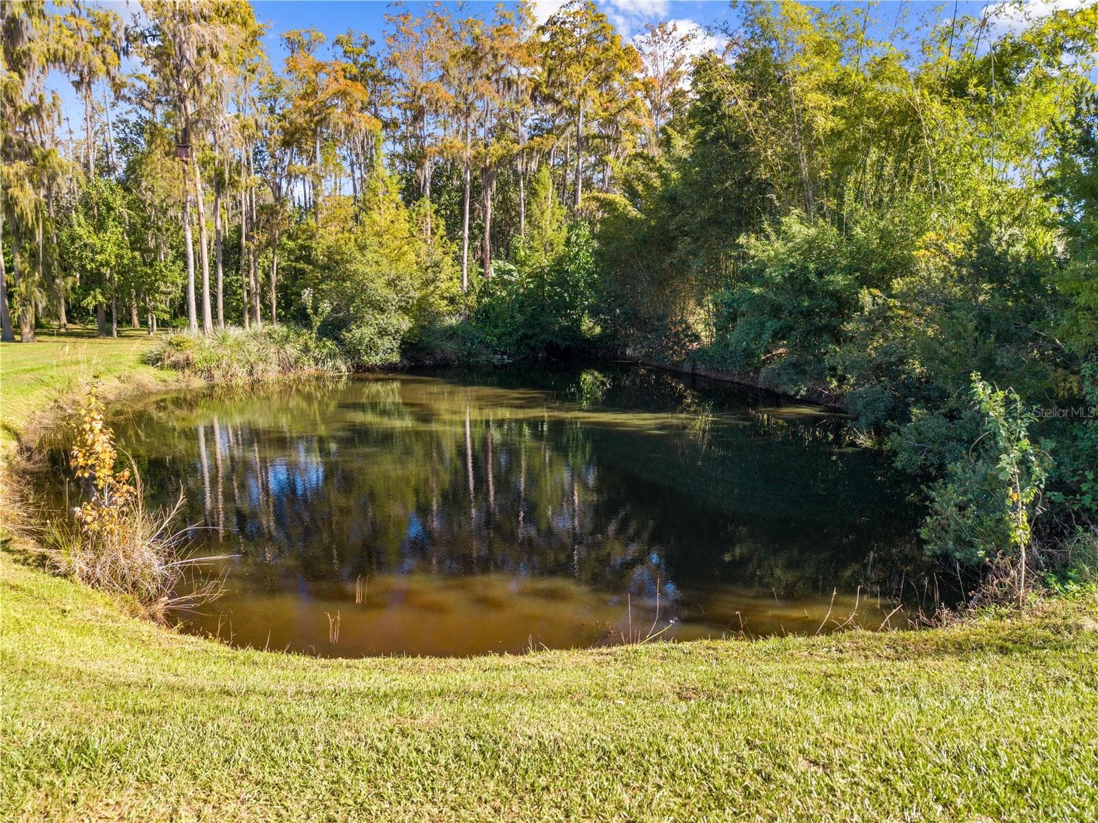 Stocked Pond behind main home - 4055 EDSEL AVE, ST CLOUD