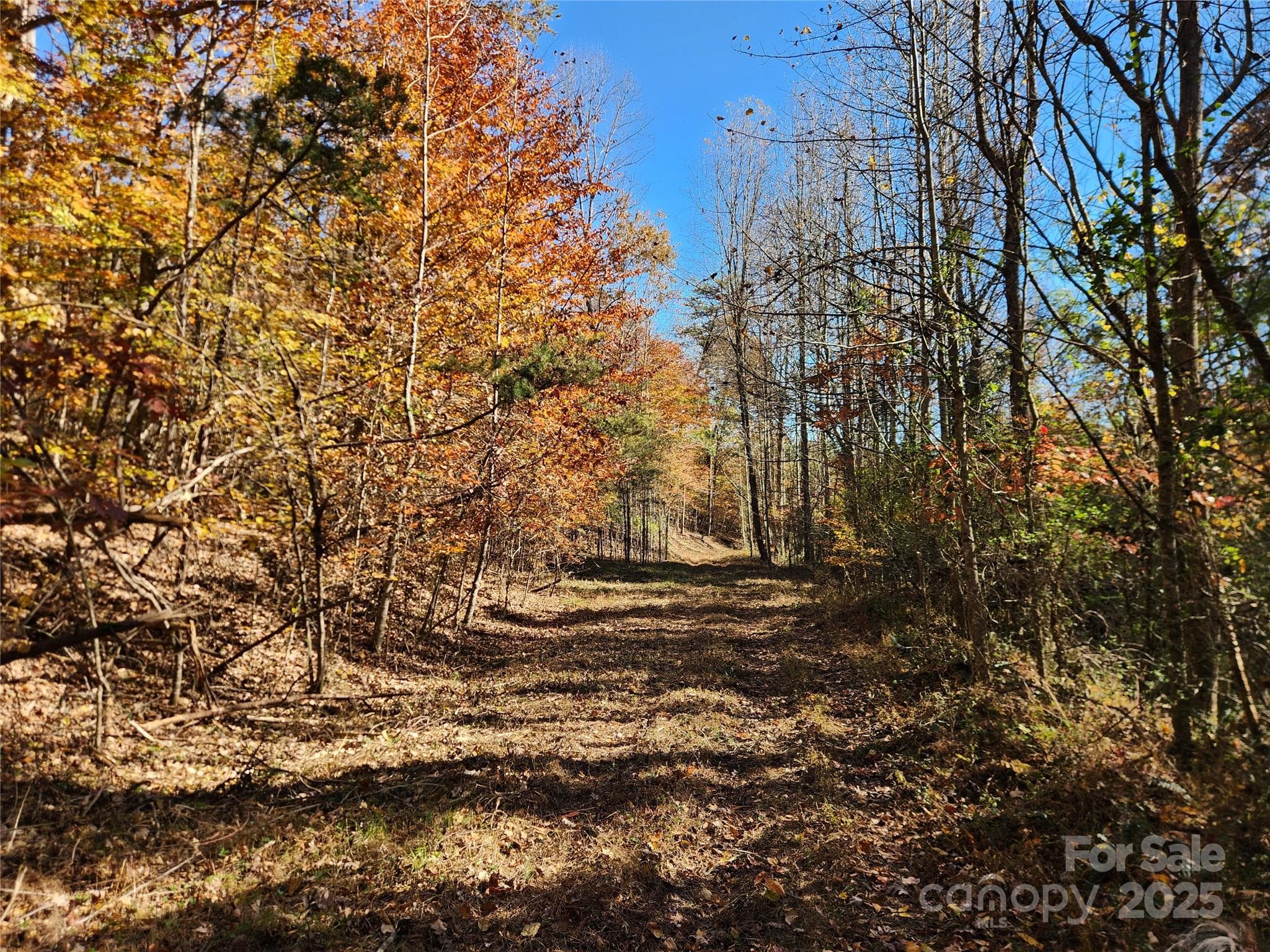 Acreage at 701 Moravian Falls Road, Wilkesboro, photo 6 of 30