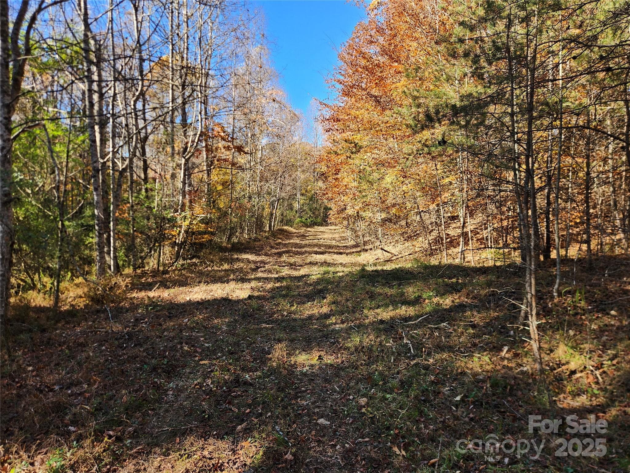 Acreage at 701 Moravian Falls Road, Wilkesboro, photo 9 of 30