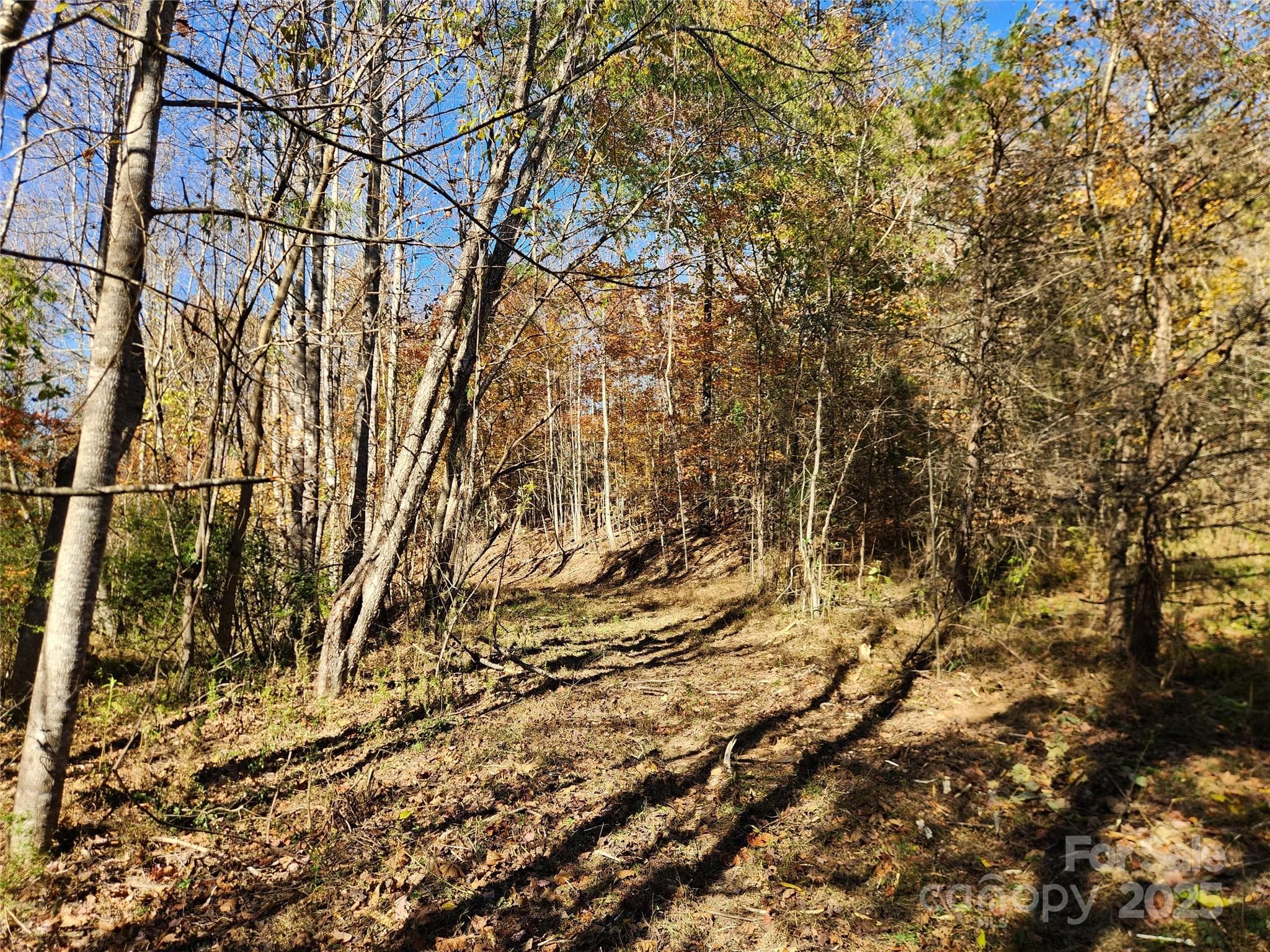 Acreage at 701 Moravian Falls Road, Wilkesboro, photo 13 of 30