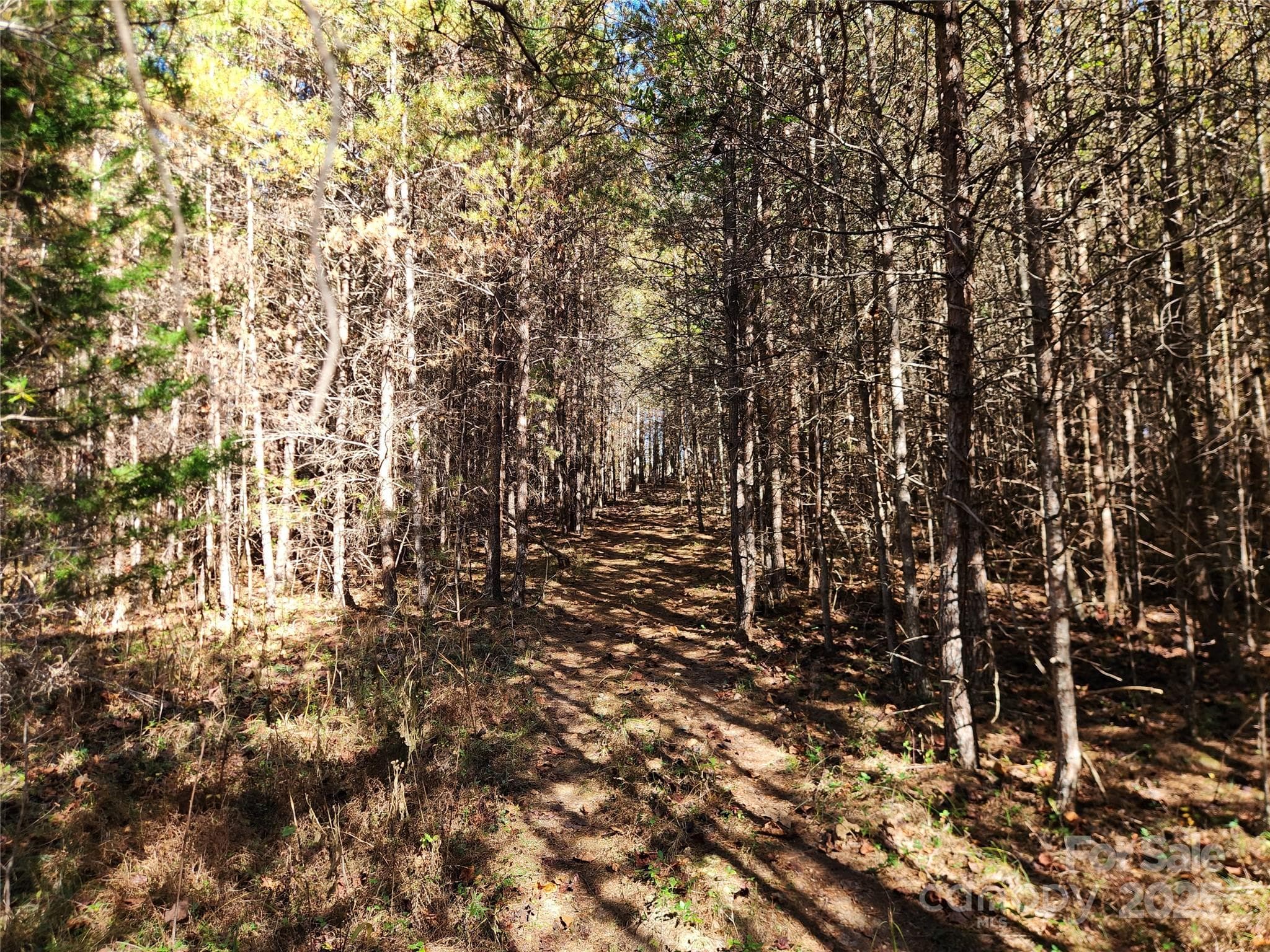 Acreage at 701 Moravian Falls Road, Wilkesboro, photo 20 of 30