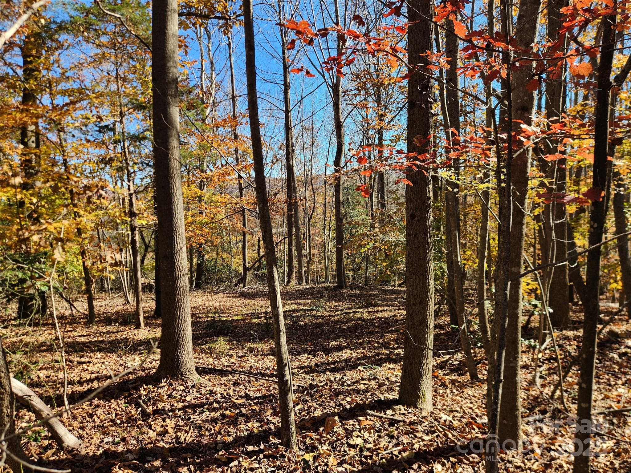 Acreage at 701 Moravian Falls Road, Wilkesboro, photo 22 of 30