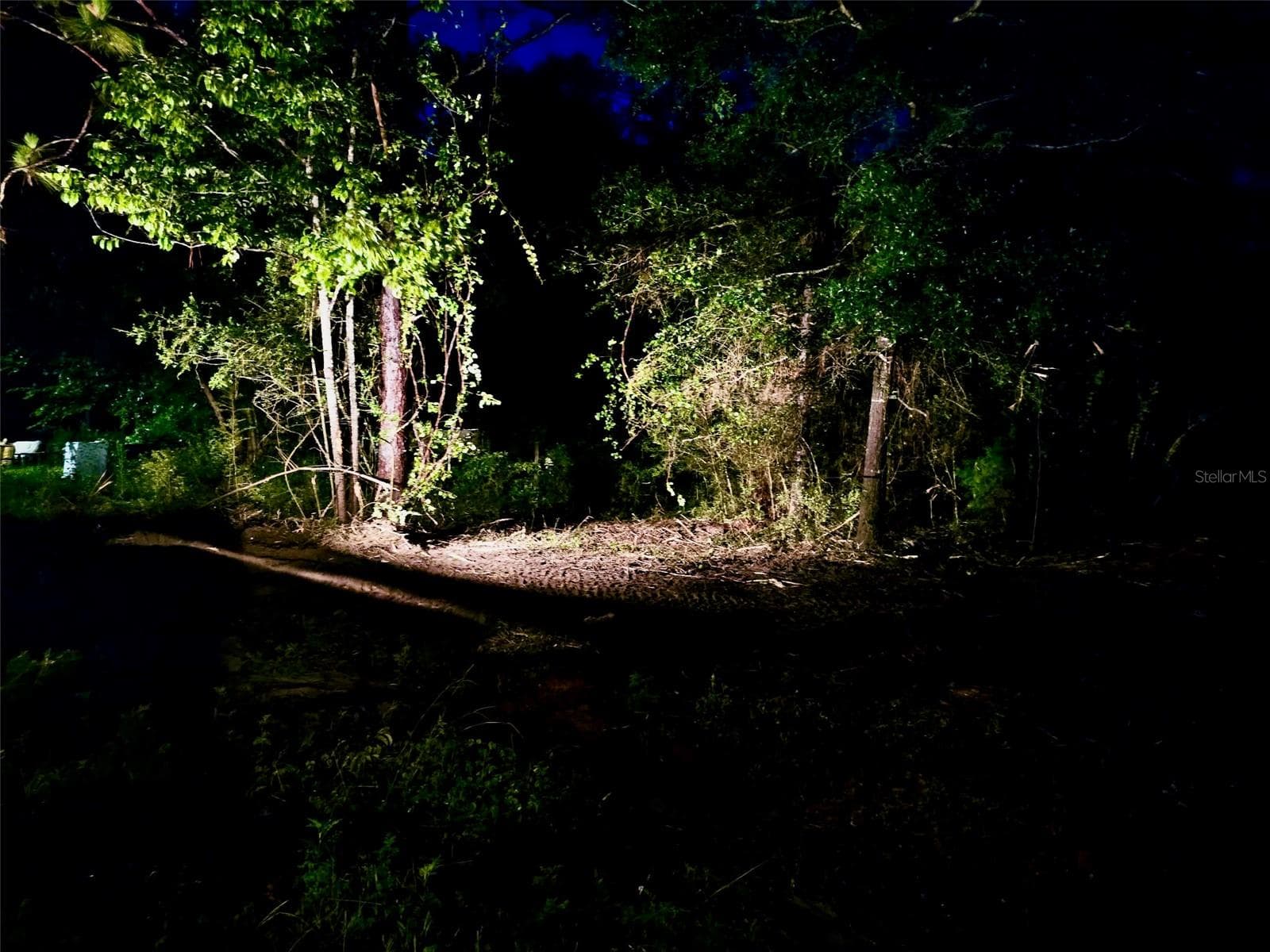 Land at PINETREE LN, DEFUNIAK SPRINGS, photo 21 of 40