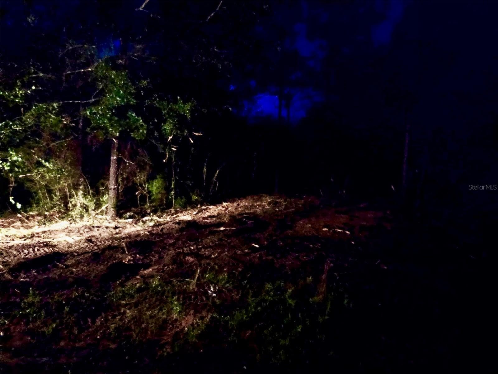 Land at PINETREE LN, DEFUNIAK SPRINGS, photo 22 of 40
