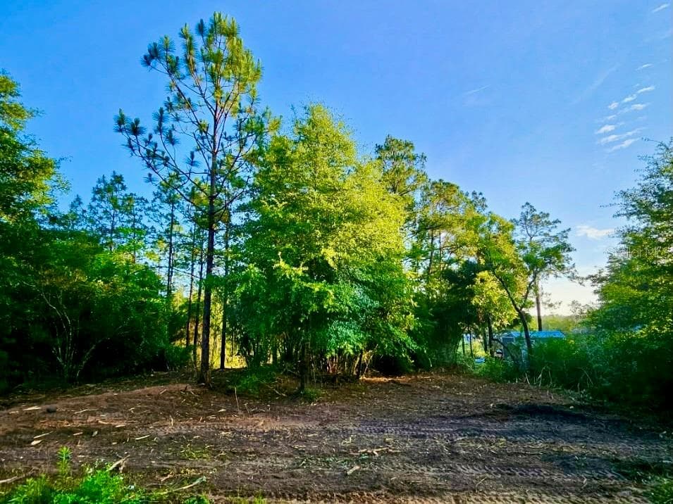 Land at PINETREE LN, DEFUNIAK SPRINGS, photo 24 of 40