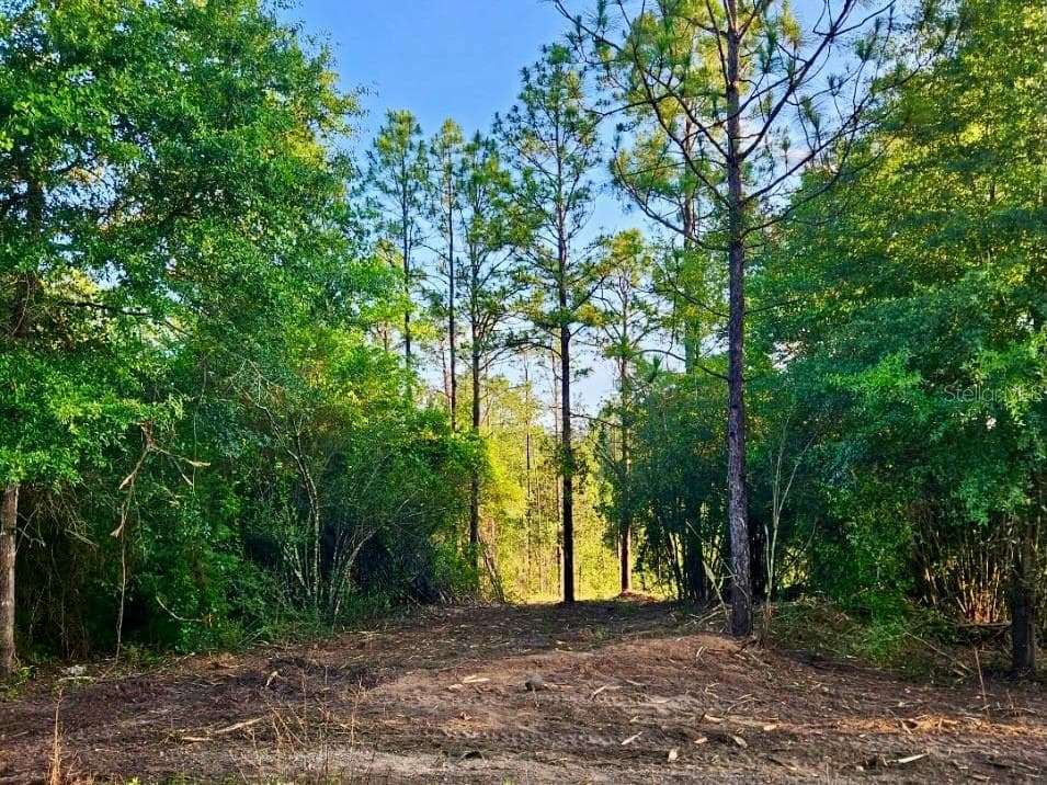 Land at PINETREE LN, DEFUNIAK SPRINGS, photo 25 of 40