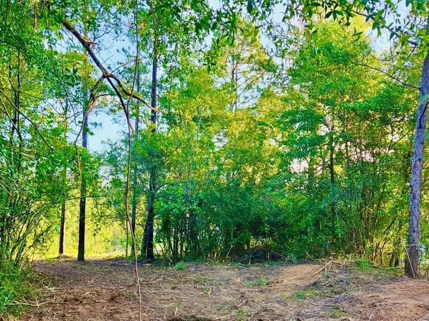Land at PINETREE LN, DEFUNIAK SPRINGS, photo 26 of 40