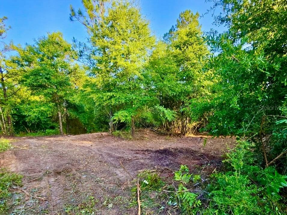 Land at PINETREE LN, DEFUNIAK SPRINGS, photo 27 of 40