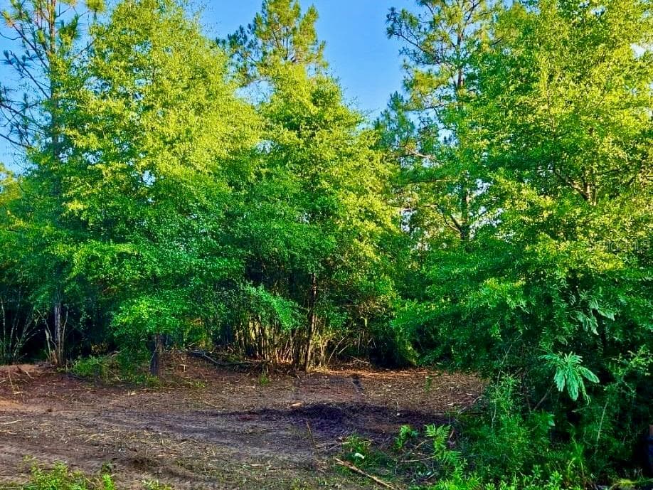 Land at PINETREE LN, DEFUNIAK SPRINGS, photo 28 of 40