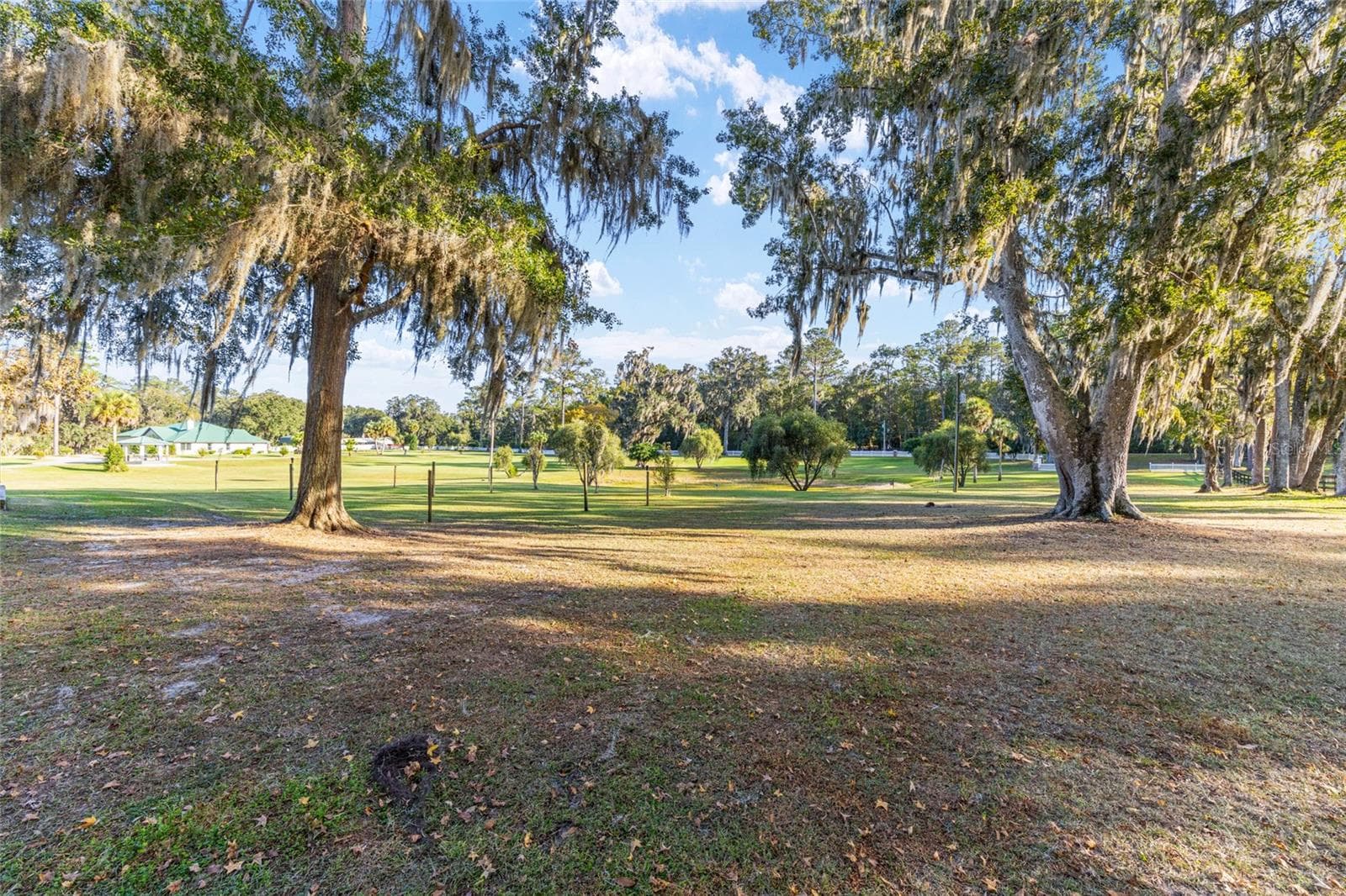 Single Family Residence at 255 SW 96TH LN, OCALA, photo 68 of 88