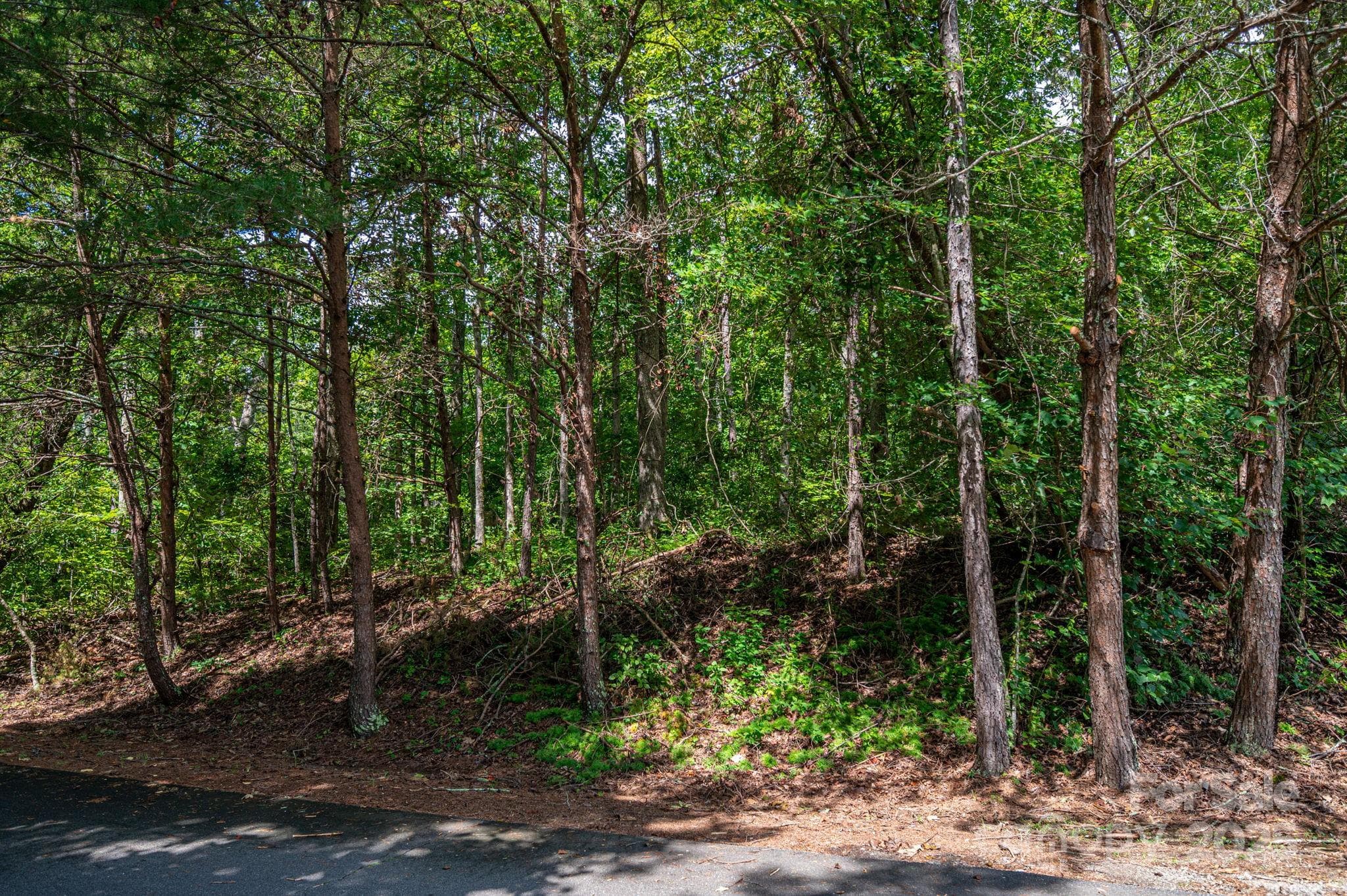 Lot at Lot 26 Line Drive, Forest City, photo 2 of 14