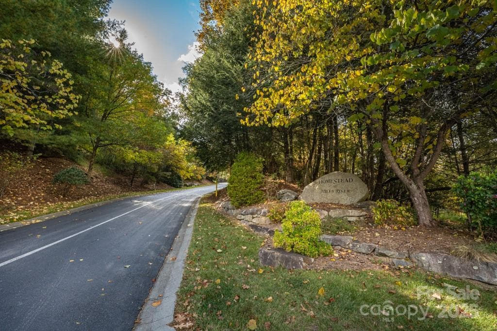 Lot at 99999 Shining Rock Path, Horse Shoe, photo 2 of 27