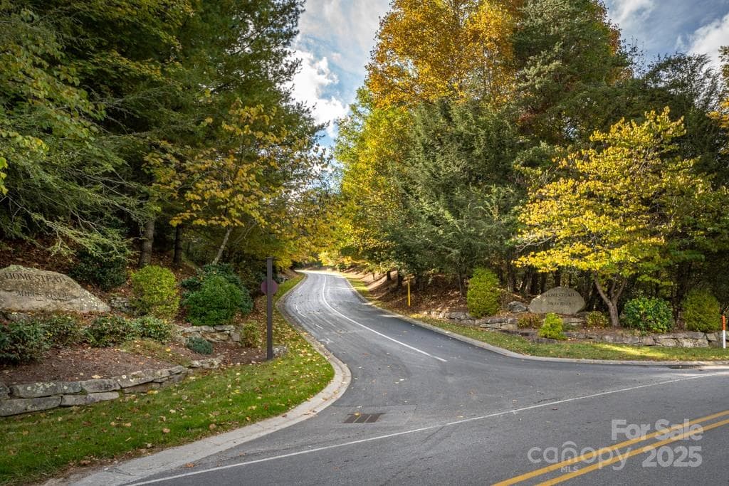 Lot at 99999 Shining Rock Path, Horse Shoe, photo 6 of 27