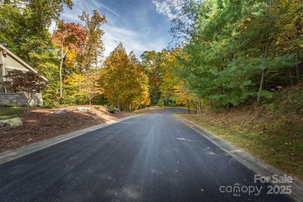 Lot at 99999 Shining Rock Path, Horse Shoe, photo 7 of 27