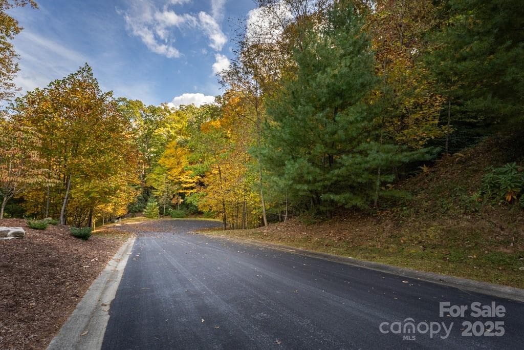 Lot at 99999 Shining Rock Path, Horse Shoe, photo 8 of 27