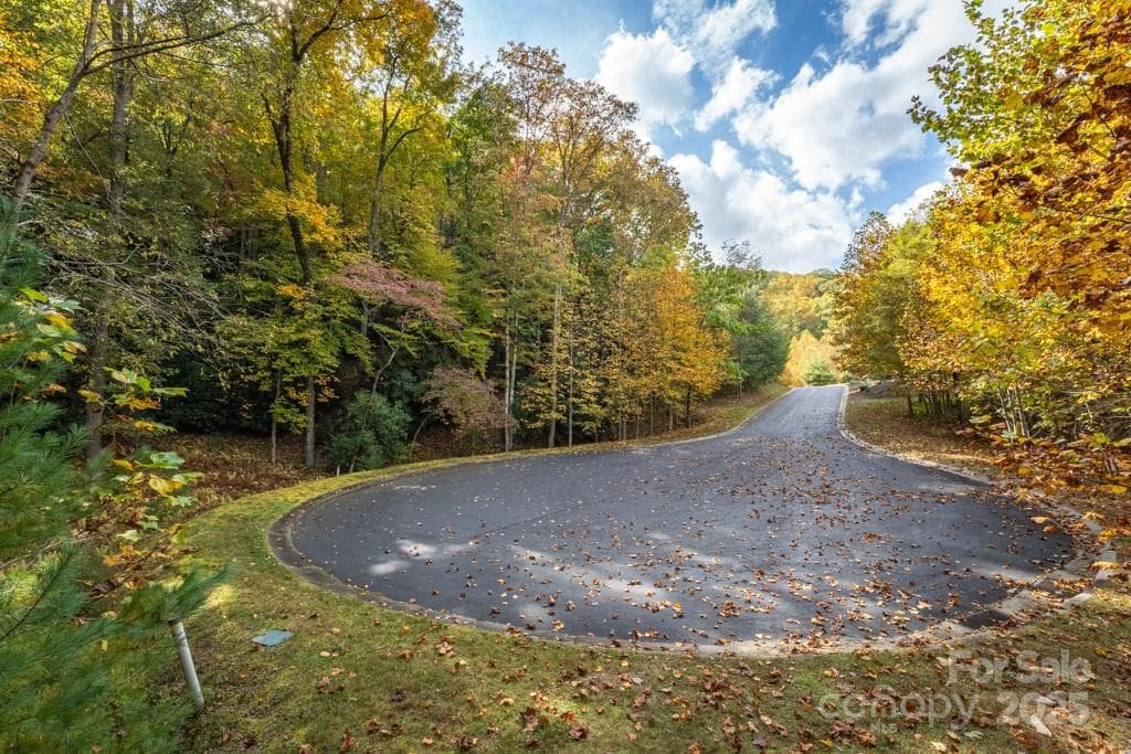 Lot at 99999 Shining Rock Path, Horse Shoe, photo 9 of 27