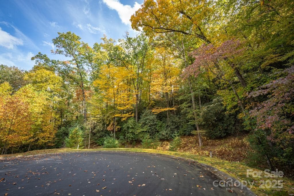 Lot at 99999 Shining Rock Path, Horse Shoe, photo 10 of 27