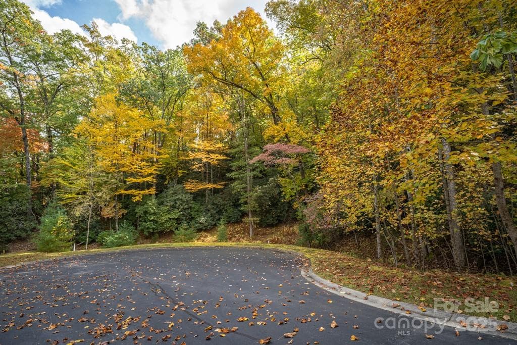 Lot at 99999 Shining Rock Path, Horse Shoe, photo 11 of 27