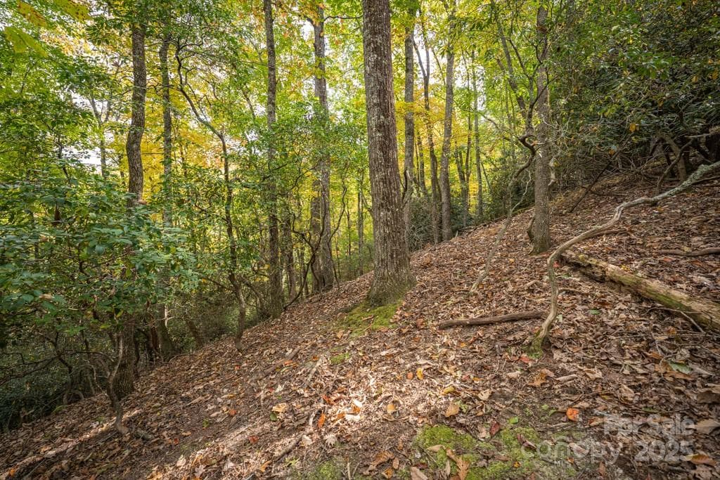 Lot at 99999 Shining Rock Path, Horse Shoe, photo 12 of 27