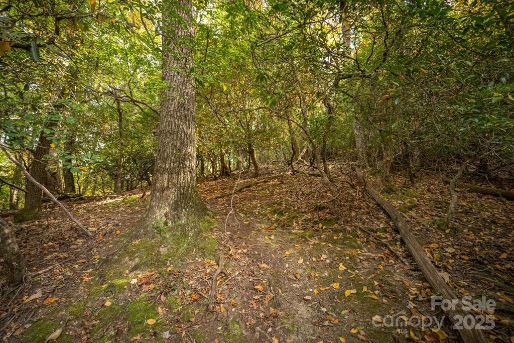 Lot at 99999 Shining Rock Path, Horse Shoe, photo 13 of 27