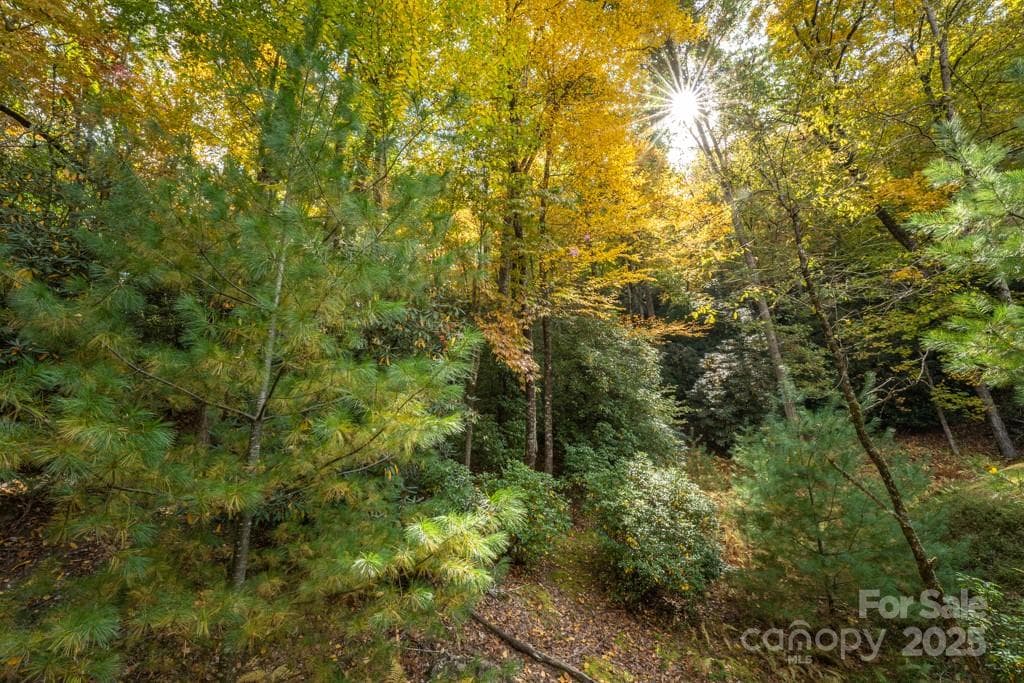 Lot at 99999 Shining Rock Path, Horse Shoe, photo 14 of 27