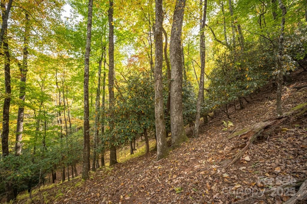 Lot at 99999 Shining Rock Path, Horse Shoe, photo 15 of 27