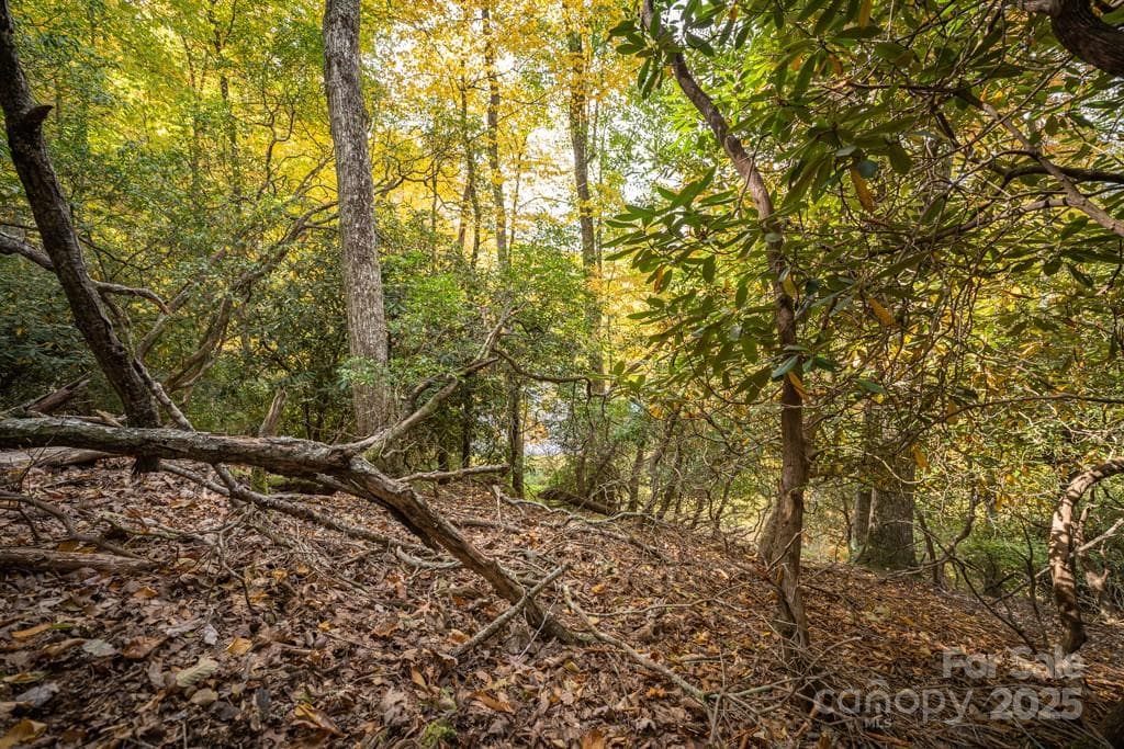 Lot at 99999 Shining Rock Path, Horse Shoe, photo 16 of 27