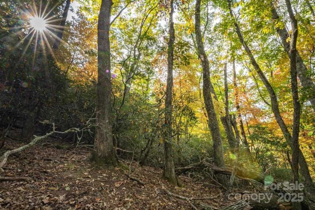 Lot at 99999 Shining Rock Path, Horse Shoe, photo 17 of 27