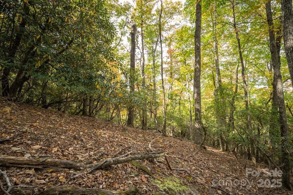 Lot at 99999 Shining Rock Path, Horse Shoe, photo 18 of 27