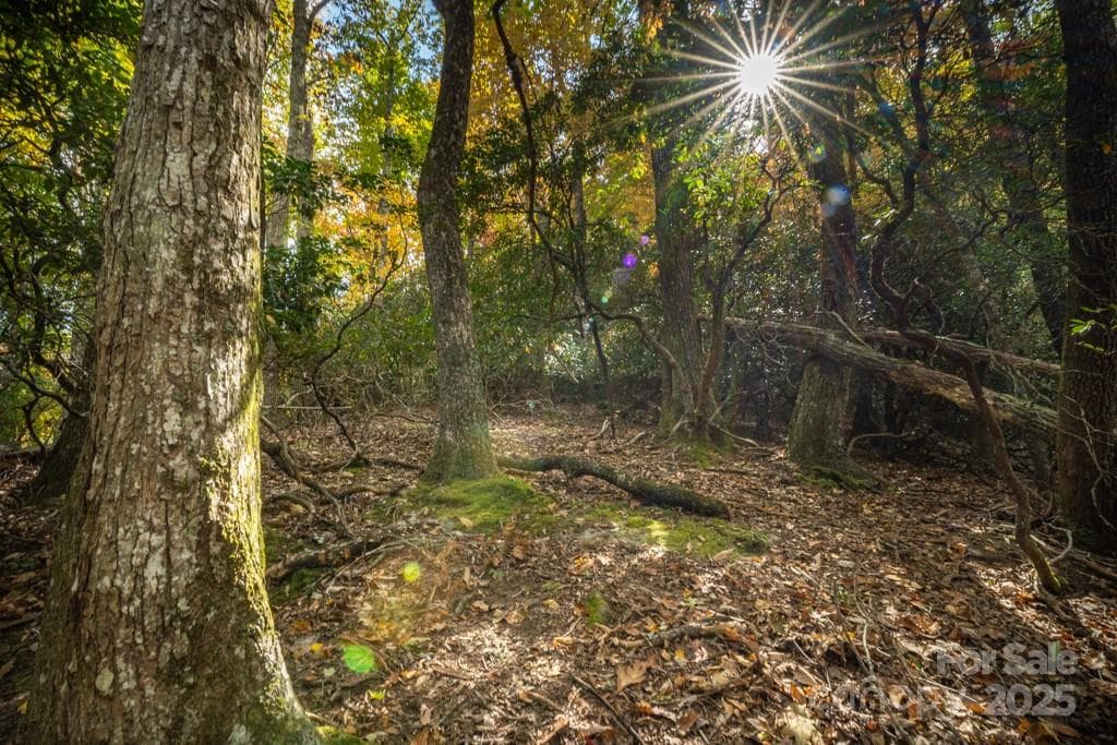 Lot at 99999 Shining Rock Path, Horse Shoe, photo 19 of 27