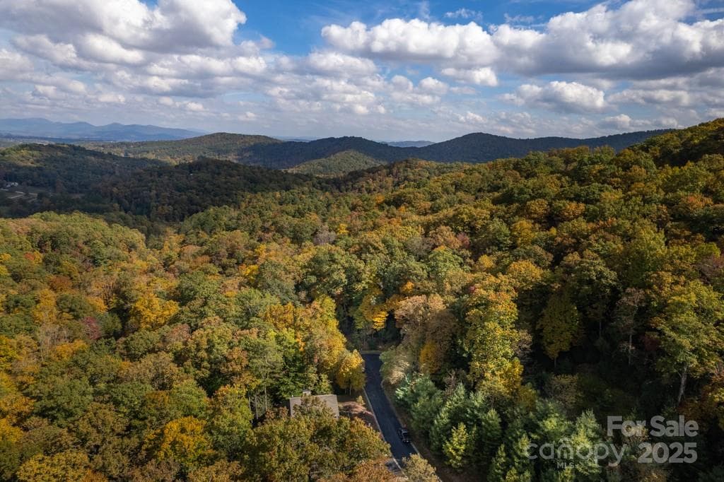 Lot at 99999 Shining Rock Path, Horse Shoe, photo 21 of 27
