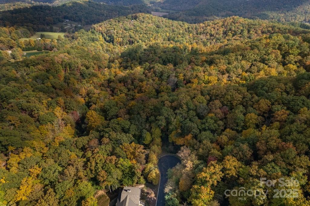 Lot at 99999 Shining Rock Path, Horse Shoe, photo 22 of 27