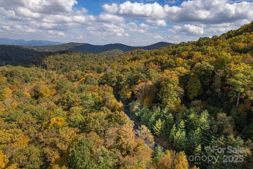 Lot at 99999 Shining Rock Path, Horse Shoe, photo 23 of 27