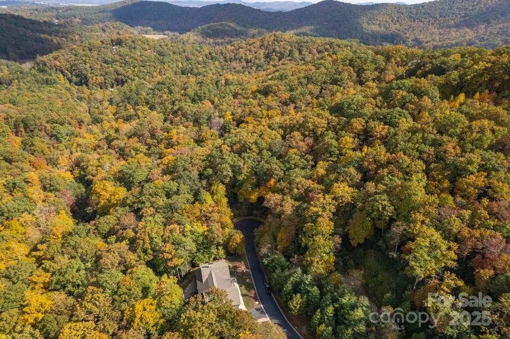 Lot at 99999 Shining Rock Path, Horse Shoe, photo 24 of 27