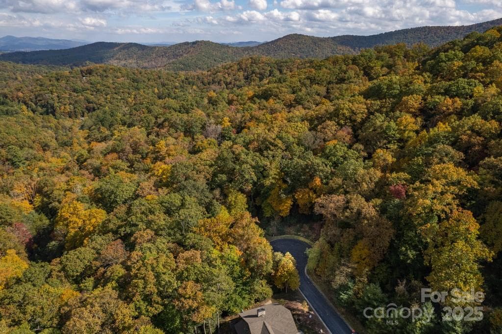 Lot at 99999 Shining Rock Path, Horse Shoe, photo 25 of 27