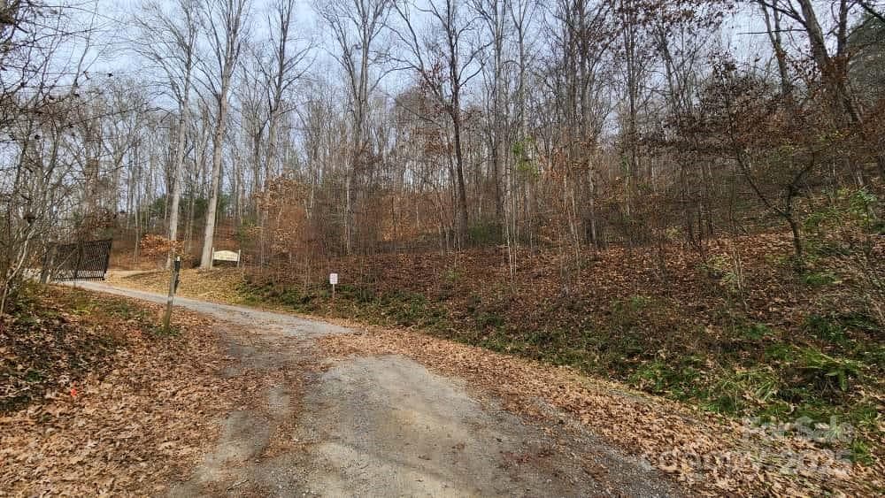 Lot at Waynesville, photo 3 of 33